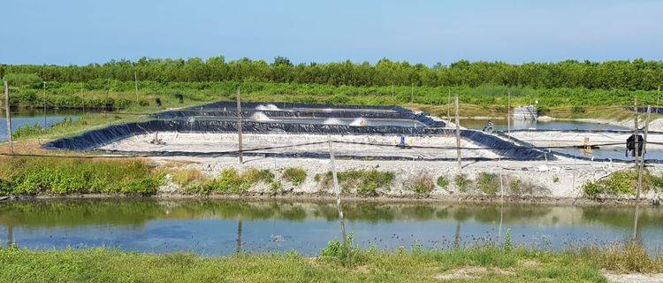 DIJUAL CEPAT LAHAN UTK TAMBAK DI DESA NENAS SIAM,PAGURAWAN,WEDANG DERAS,ASAHAN, SUMATRA UTARA,LOKASI STRATEGIS DEKAT PELABUHAN  KUALA TANJUNG. 1