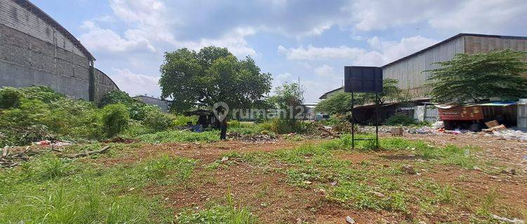 Tanah Murah Pinggir Jalan Dekat Kantor Imgrasi Telukpucung  1