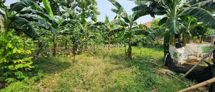 Dijual Tanah Strategis Kalimalang, Dekat Akses Tol, Bebas Banjir. 1