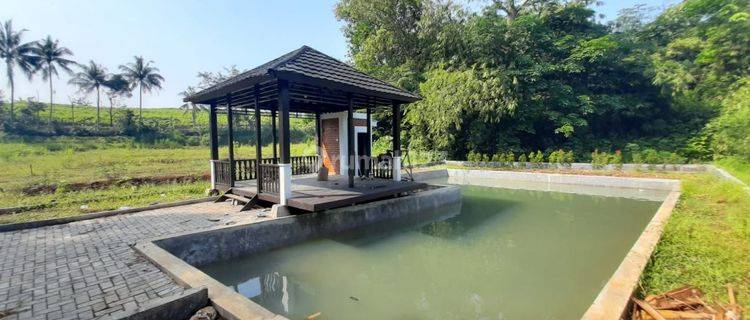 Jual Kolam Ikan di Bogor SHM Bonus 10000 Bibit Lele + Gazebo 1