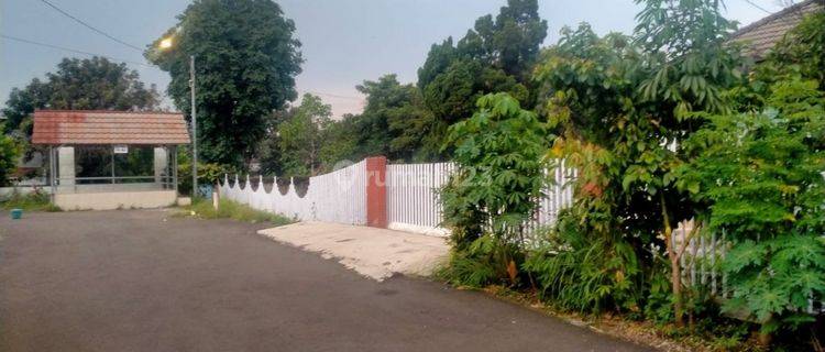 Jual Tanah Bogor Bonus Rumah Harga Di Bawah Njop di Tanah Sereal 1