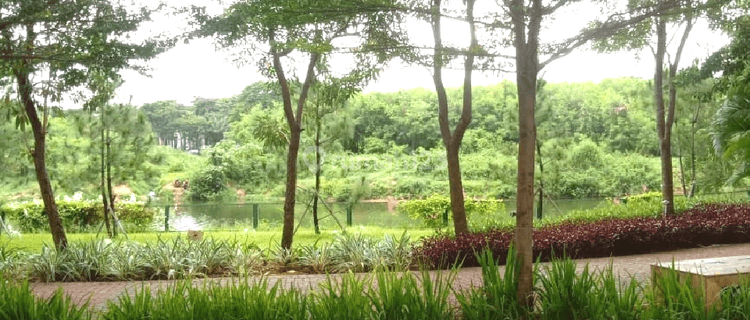 Kios Bagus Siap Usaha Murah di Dalam Apartement Springlake  1