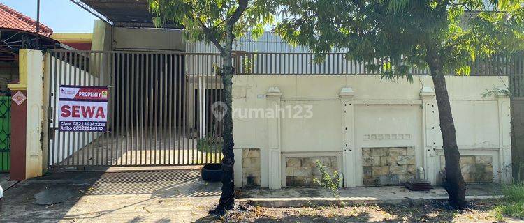 Dijual Tanggul Mas Raya, Tanah Mas  1