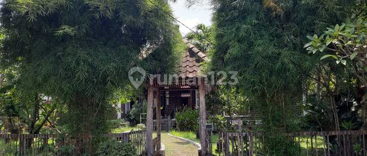 House in Godong Grobongan 1