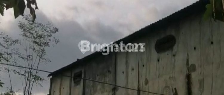 BIRD'S NEST HOUSE IN BANGSALSARI JEMBER 1