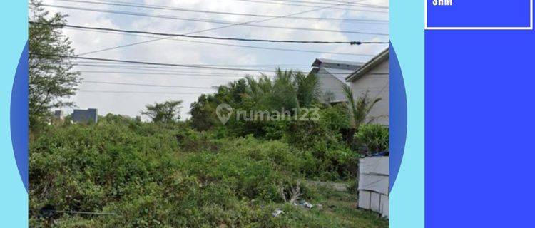 Tanah Pekarangan Luas Cocok Utk Perumahan Gudang Di Lamongan 1