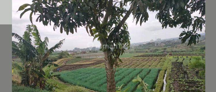 TANAH SUBUR HARGA ISTIMEWA DI BELAKANG LIPPO PLAZA KOTA BATU. 1