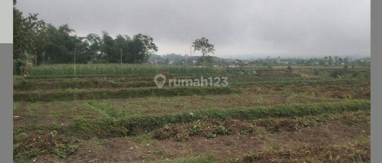 TANAH LUAS SUBUR HARGA BAIK DI JUNREJO KOTA BATU. 1