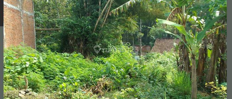 Tanah Kavling Siap Bangun Dekat Sekolah Dan Ponpes Pakis Malang 1