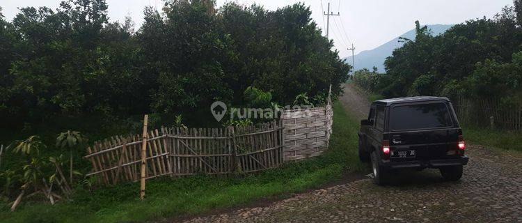 TANAH KEBUN SUBUR HARGA ISTIMEWA DI BUMIAJI KOTA BATU.  1