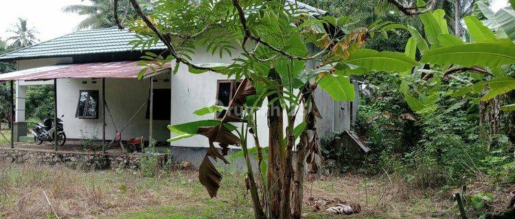 RUMAH DAN LAHAN LUAS HARGA BAIK DI SIMPUR KALIMANTAN SELATAN. 1