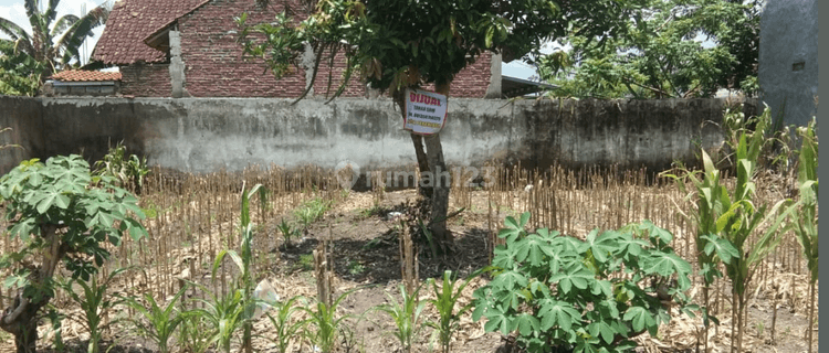 Tanah Murah Cocok Unruk Kos Di Lingkungan Dekat Unej Jember 1