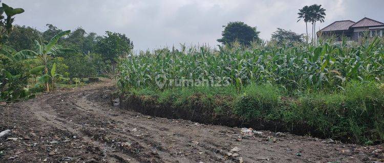 Tanah Luas Strategis Harga Murah Tanaman Subur Di Bumiaji Batu 1