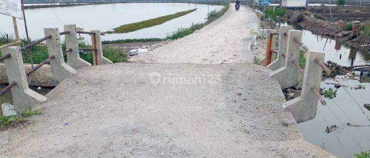 Lahan Tambak Dijual Dibawah Harga Njop 1