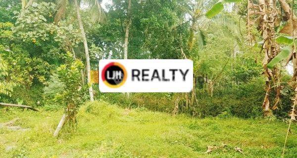 Dijual Cepat Kavling di Secang Magelang Jawa Tengah 1