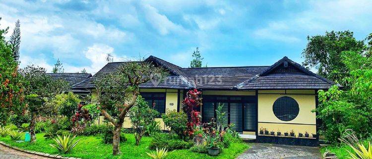 Villa Nuansa Jepang di Kota Bunga Puncak, Bogor 1