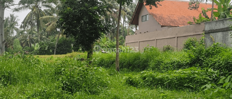 Vacant land for sale in Stratgis Tampaksiring Gianyar, Bali 1