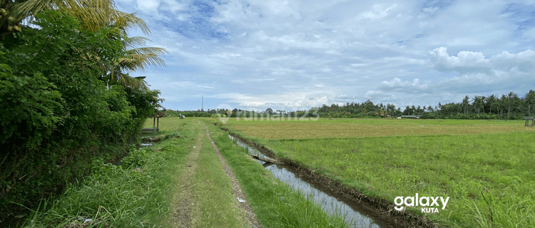 Dijual Tanah Kosong Siap Bangun Yehkuning Jembrana, Bali 1