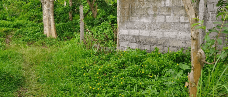 Disewakan Tanah Murah Suwat Gianyar, Bali 1