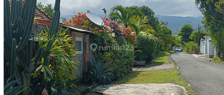 Dijual Rumah Dan Tanah Dekat Lovina Buleleng, Bali 1