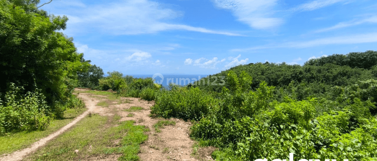 DIJUAL TANAH DI DESA SAKTI NUSA PENIDA KLUNGKUNG - BALI 1