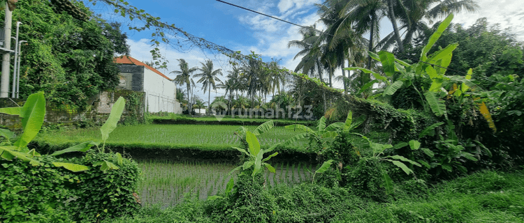 DIJUAL TANAH LOKASI STRATEGIS PINGGIR JALAN PROF IB.MANTRA GIANYAR-BALI 1