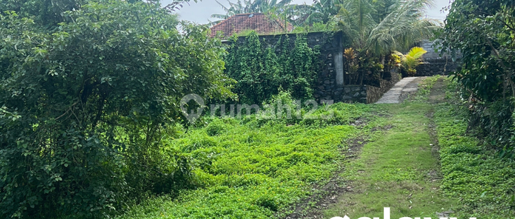 DIJUAL TANAH SIAP BANGUN VIEW SUNGAI DI KAWASAN BEBALI BAJERA TABANAN - BALI 1