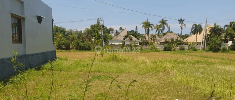 Dijual Tanah Buleleng Singaraja, Bali 1