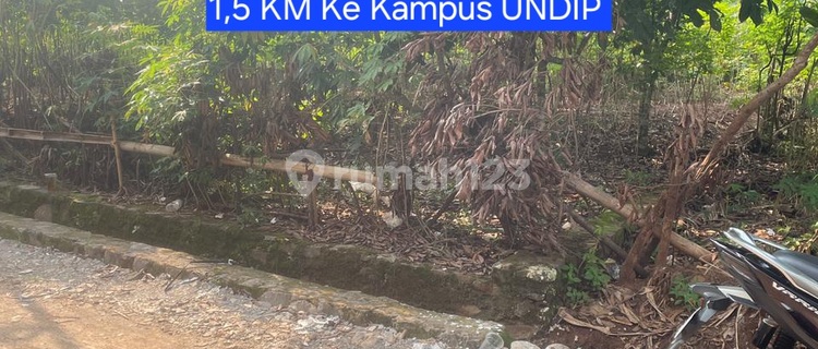 Mulawarman Land Tembalang Near Undip Tembalang Campus 1
