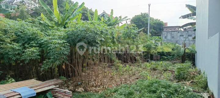 Mulawarman Tembalang Land Near Undip Tembalang Campus. 1