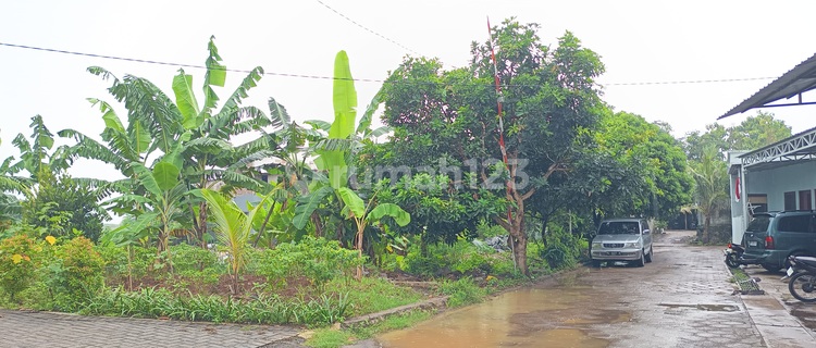 Tanah Tembalang Bulusan Utara Ring 1 Undip Tembalang 1