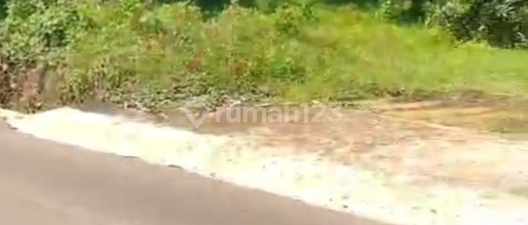 Tanah Ngaliyan Podorejo untuk Perumahan Dekat Bsb 1