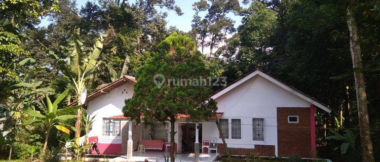 Jual Rumah hitung tanah  di Caringin Bogor Samping Tol Bocimi Lt 1000m2  1