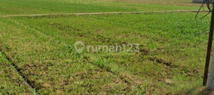 LAHAN INDUSTRI  2.3  ha  SHM DI JL RY SUMBER BOTO  MOJOWARNO 1