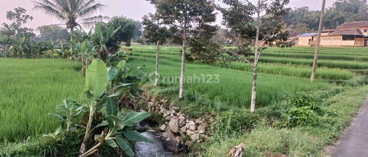 Sawah Akses Lebar Karangpandan  1