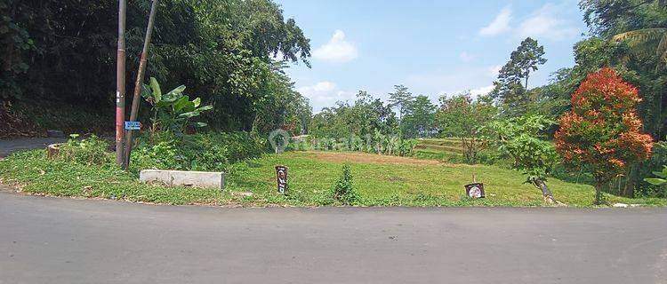 Tanah sawah murah karangpandan 1