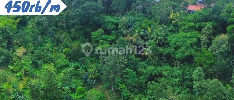 Kawasan Zona Kuning Perkotaan Semarang 1