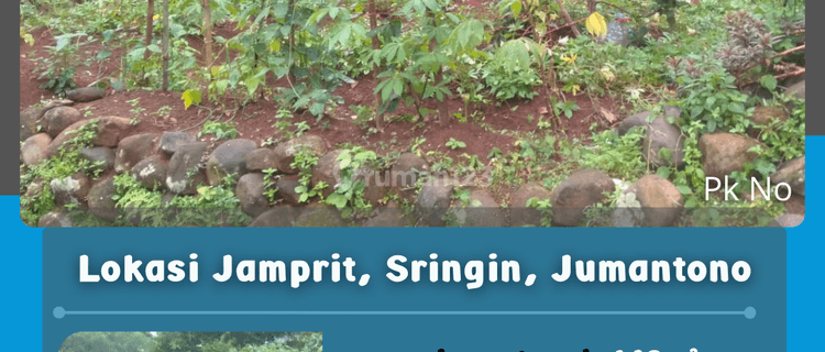 Tanah Pekarangan Murah Sringin Jumantono  1