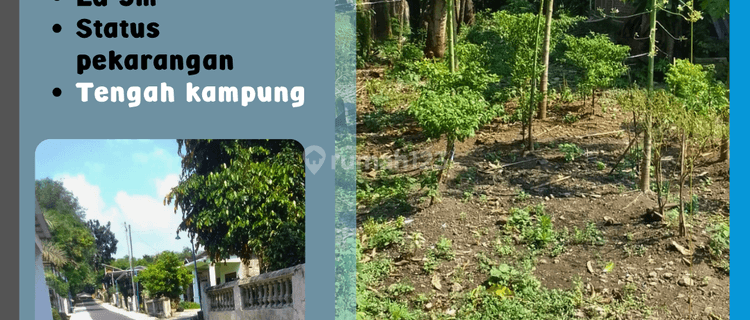Pekarangan Murah Tengah Kampung Kebakkramat  1