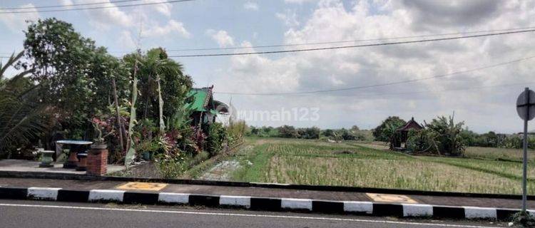  Dijual Tanah SHM Komersil 17 Are Premium Dan Langka 1