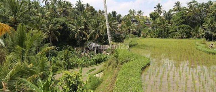  Land Sebatu Ubud Near Gunung Kawi Lswi Tourist Object 1