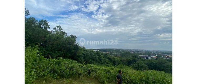 Kedewatan Ubud 26 Are With View Land For Rent , Lswi 1