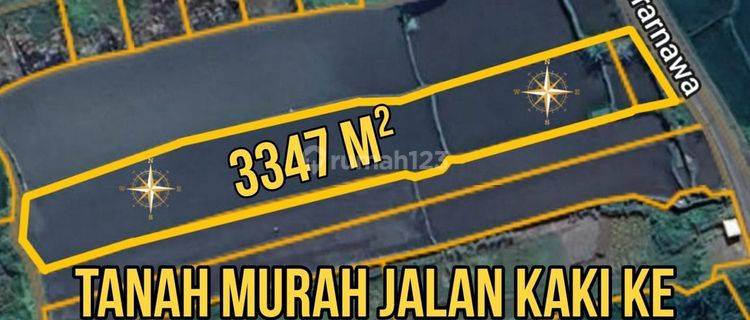  Tanah Murah Jalan Kaki Ke Pantai Padang Legi Lskhe 1