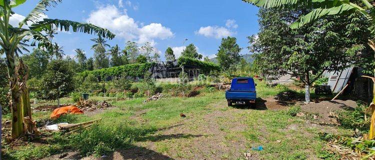  Dijual Tanah Di Busungbiu, Buleleng 1