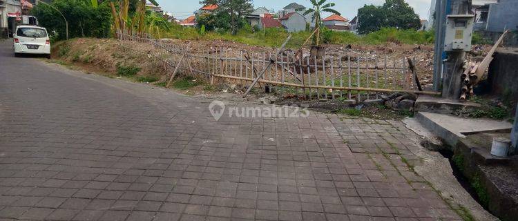 R08165 Premium Land Good Land For Lease Berawa Tibubeneng Canggu 1