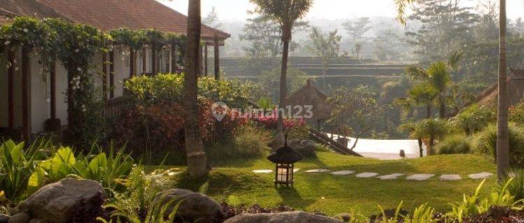 Private Luxurious 4 Bedrooms Villa Bayad In Payangan Ubud 1