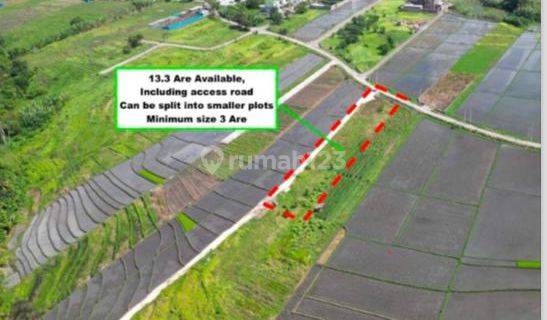 R07009 Kedungu Beach Leasehold Land 800 M To The Beach 1