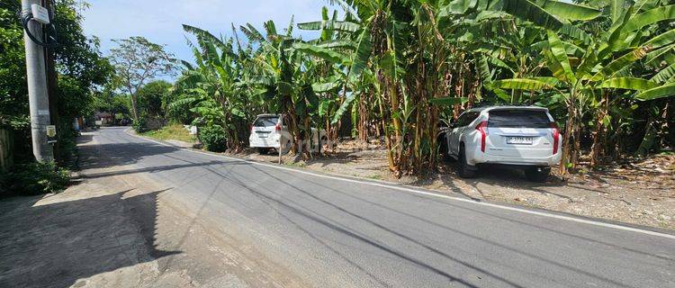 R08012 DI JUAL TANAH PREMIUM MURAH PERERENAN LUASAN KECIL JARANG ADA 1