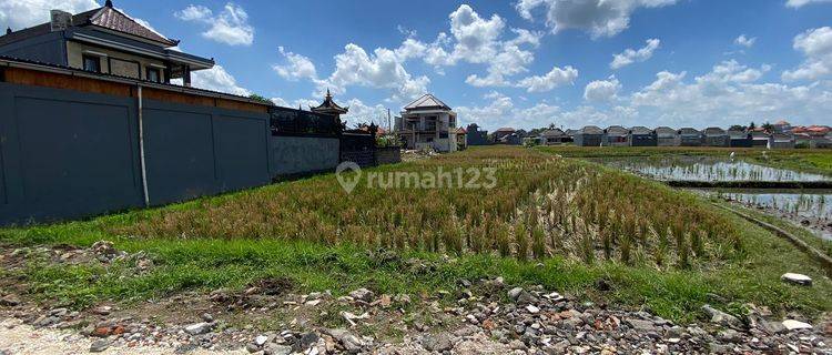 R08024 LAND RENT VERY RARE AND RARE IN BUDUK BERNASI MUNGGU NORTH CANGGU 1