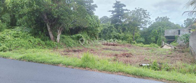 B04048 Tanah Jalan Utama Di Kemenuh Tegenungan Sukawati Dkt Ubud Gianyar Bali 1